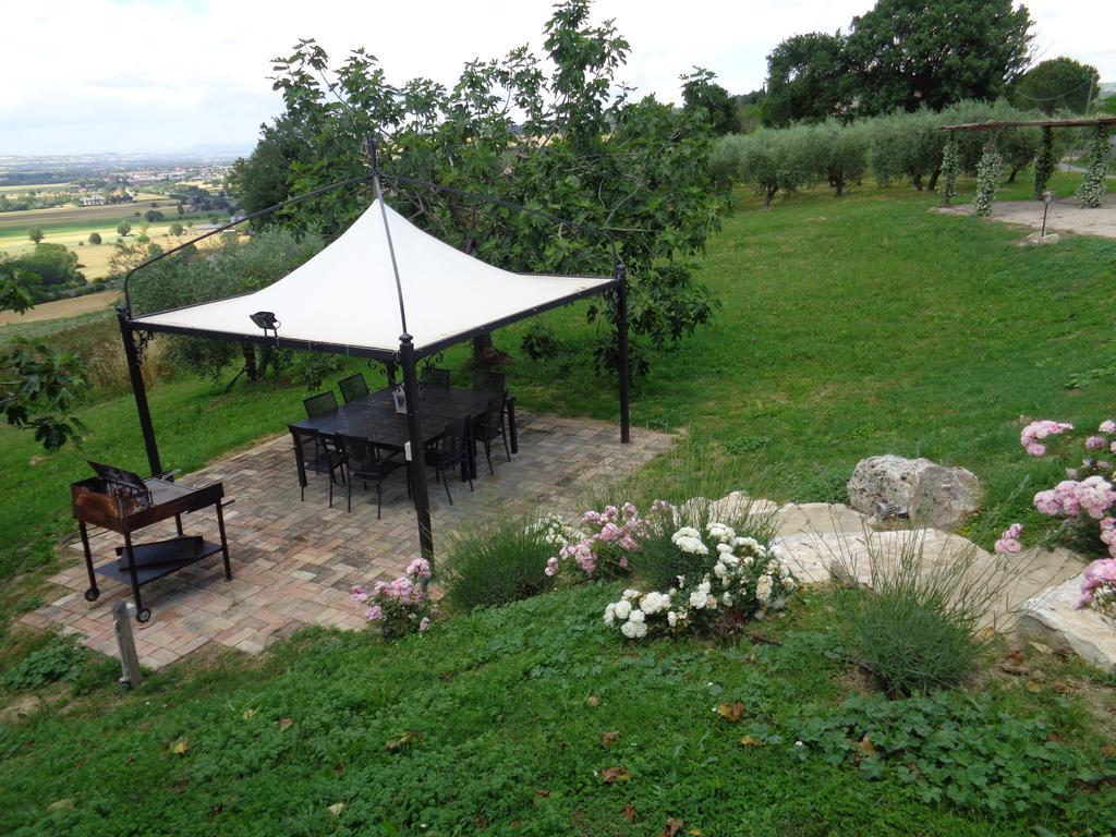 Agriturismo La Torraccia تودي المظهر الخارجي الصورة