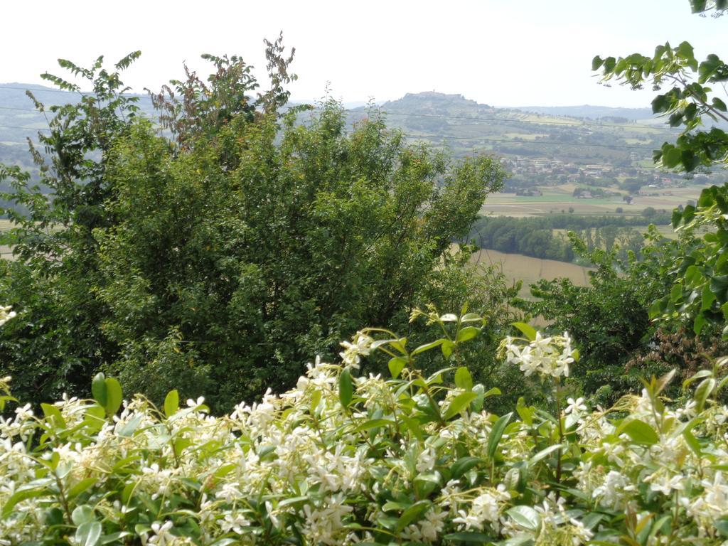 Agriturismo La Torraccia تودي المظهر الخارجي الصورة